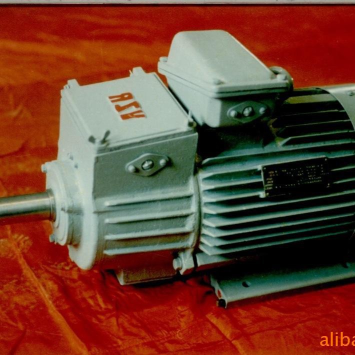 佳木斯电机 YZR-132M1-6 起重及冶金用三相异步电动机