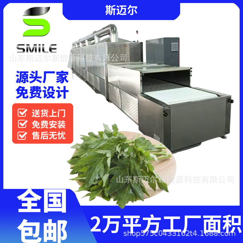 大型食叶草烘干机 蛋白草氨基酸草脱水干燥设备长寿草干燥厂家