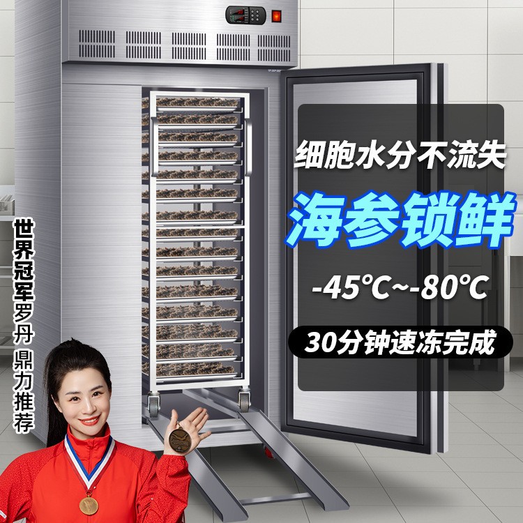低温速冻柜商用急冻风冷速冻机海参生胚饺子包子-45度冷冻冰柜