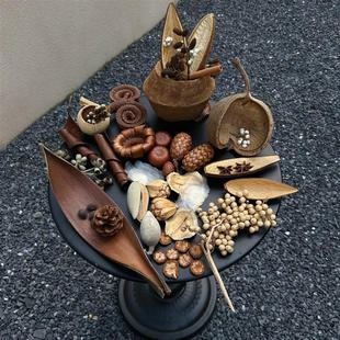 Materials Frame Gift Fruit Set Deco DIY Plant Dry Specimen