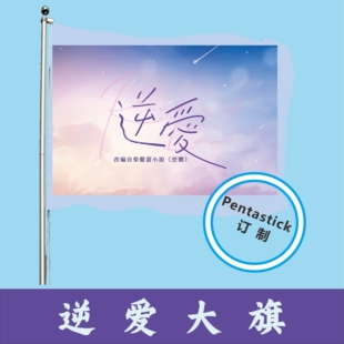 逆爱大旗逆袭网剧网红应援旗帜手摇旗定制手举户外音乐节逆爱大旗