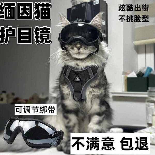 猫墨镜戴护目镜的防风护目眼镜缅因猫小头饰猫镜宠物猫咪专用饰品