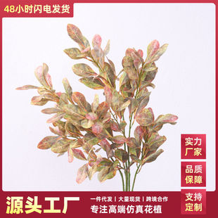 跨境仿真绿植海桐叶枝海桐叶树枝摄影布景装饰摆件假绿植