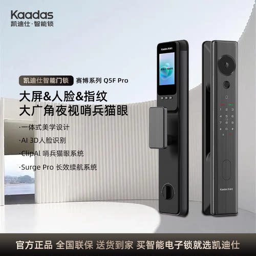 凯迪仕智能入户门锁大屏