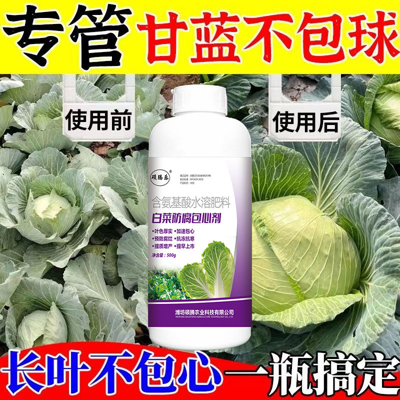 白菜专用药叶面肥白菜防腐生长剂