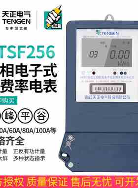 天正DTSF256峰谷电复多费率分时断电能表6A三相四线380大工业100A