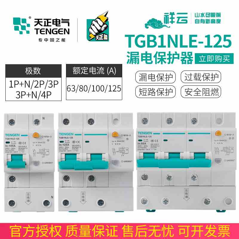 天正TGB1NLE-125空气开关带漏电保护断路器2P单相3P+N三相4P 100A