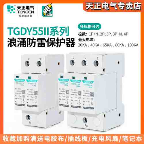天正TGDY55II浪涌电涌保护器2P4P防雷避雷器20KA40KA二级380V家用