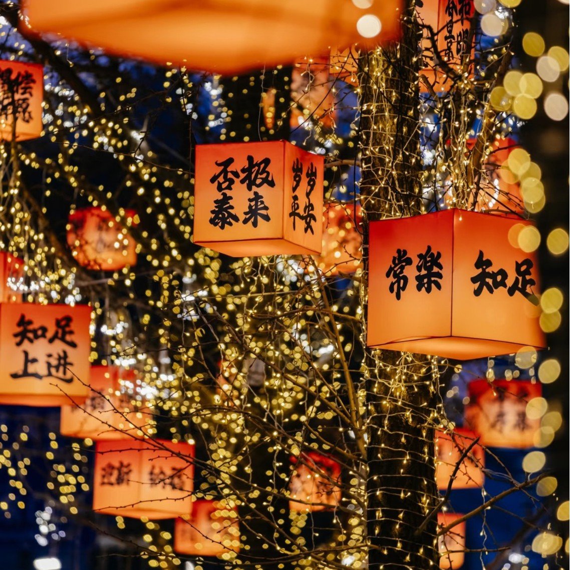 春节灯笼户外防水防晒灯笼节庆氛围灯文旅古镇景区装饰灯树挂灯笼