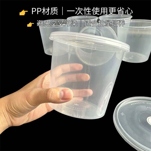 一次性PP塑料组培盒耐高温高压进口透气膜方形圆形组培瓶实验