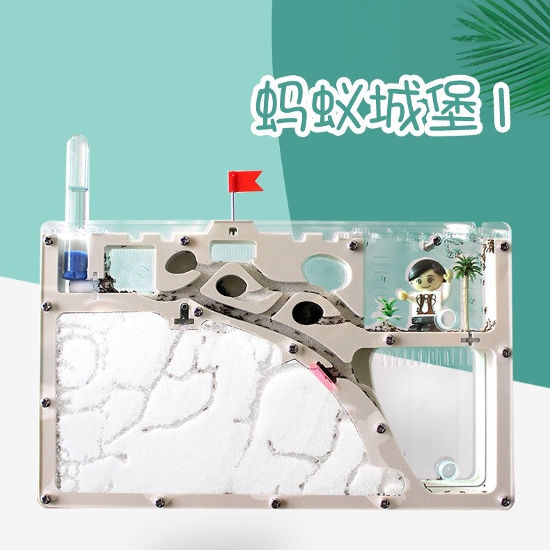 蚂蚁生态箱蚂蚁城堡蚂蚁工坊家园蚁后世界小屋沙场巢桌面蚂蚁宠物