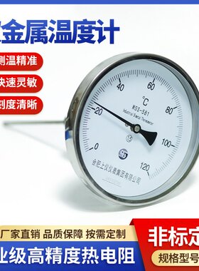 WSS-581双金属温度计0-300℃烤炉温度表工业级径向型上仪仪表集团
