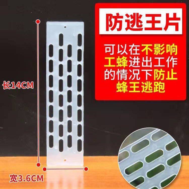 防逃片中蜂防跑王片养蜂工具蜂箱蜂王防跑片防盗蜂隔王片塑料包邮