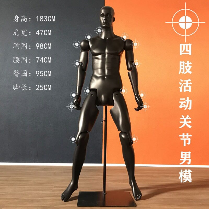 男全身模特道具四肢活动关节人台运动商务人体模型橱窗服装展示架