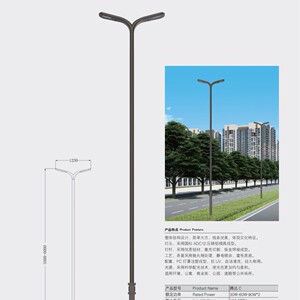 皇广景观路灯腾达 C-商业街公园道路出口品质厂家带安装