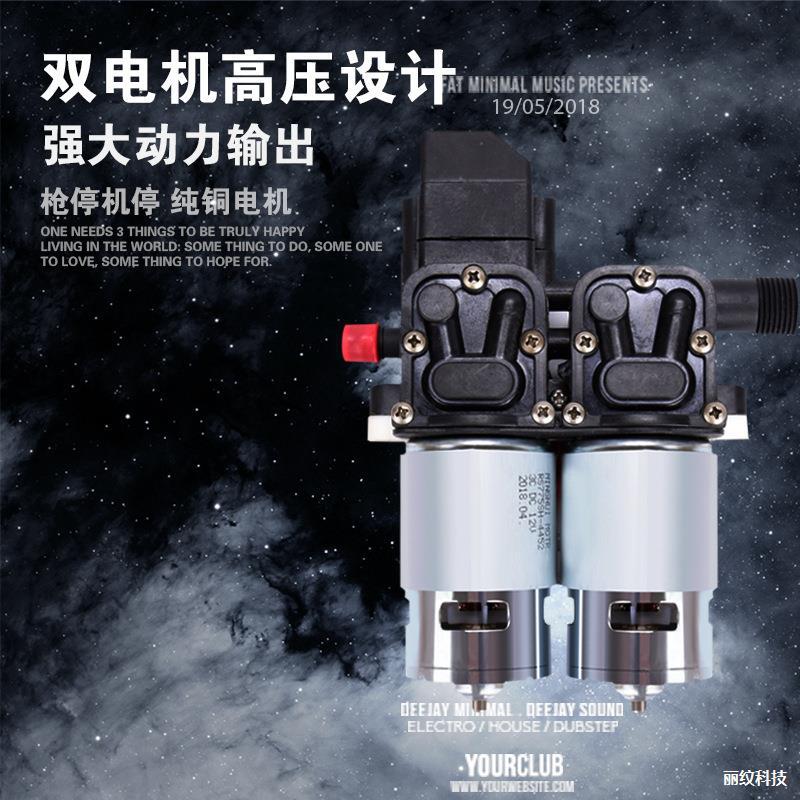 12V/220V双泵高压便携洗车机