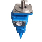 临工齿轮泵 XF齿轮泵 Gj0010C 左渐高压泵 JHP2100