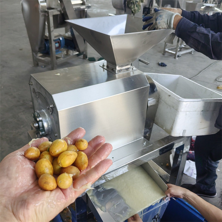 商用不锈钢果蔬打浆机芒果批粑杨梅去核打浆生姜西红柿粉碎打泥