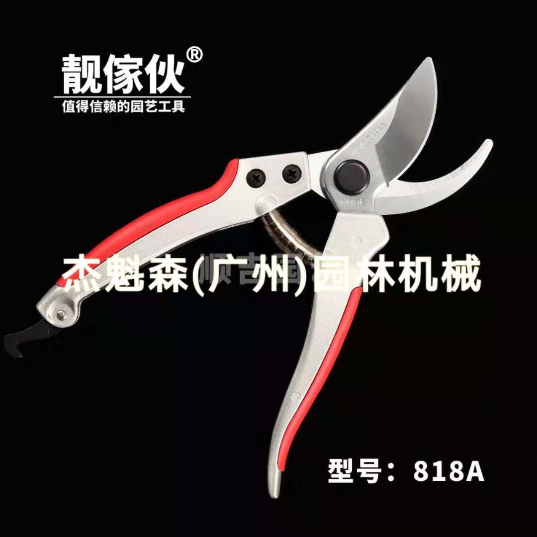 修枝剪台湾靓傢伙818A修枝剪柑树剪园艺剪家用手剪造型剪枝条