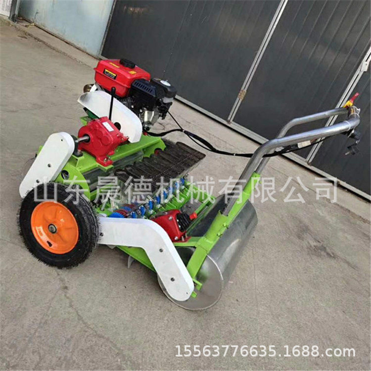 小颗粒蔬菜精播机 四轮桔梗柴胡点播大棚芹菜育苗播种机