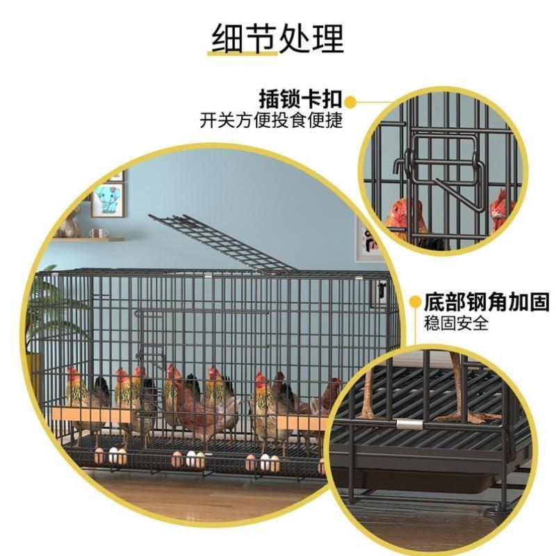 农村养鸡笼阳台无臭专业兔笼养殖专用侏儒兔专用家庭家用大号