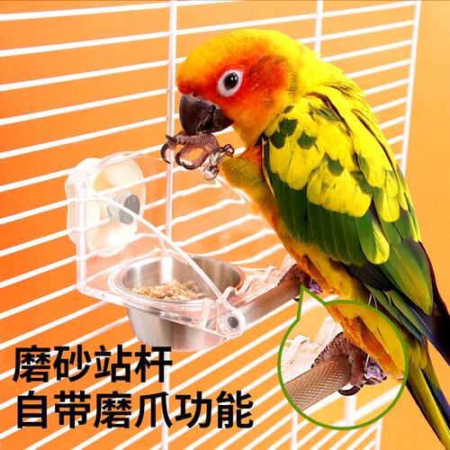 玄凤牡丹虎皮不锈钢用品饲料喂食盆鹦鹉防溅内挂食盒防撒喂食器