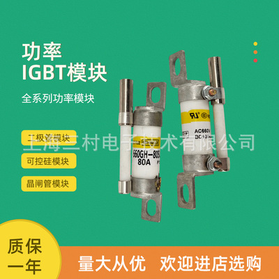 熔断器保险丝660GH-200 250 315 350 400 450 500 630-710ULTC