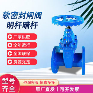 16Q 软密封法兰闸阀天津大站弹性暗杆明杆闸阀Z45
