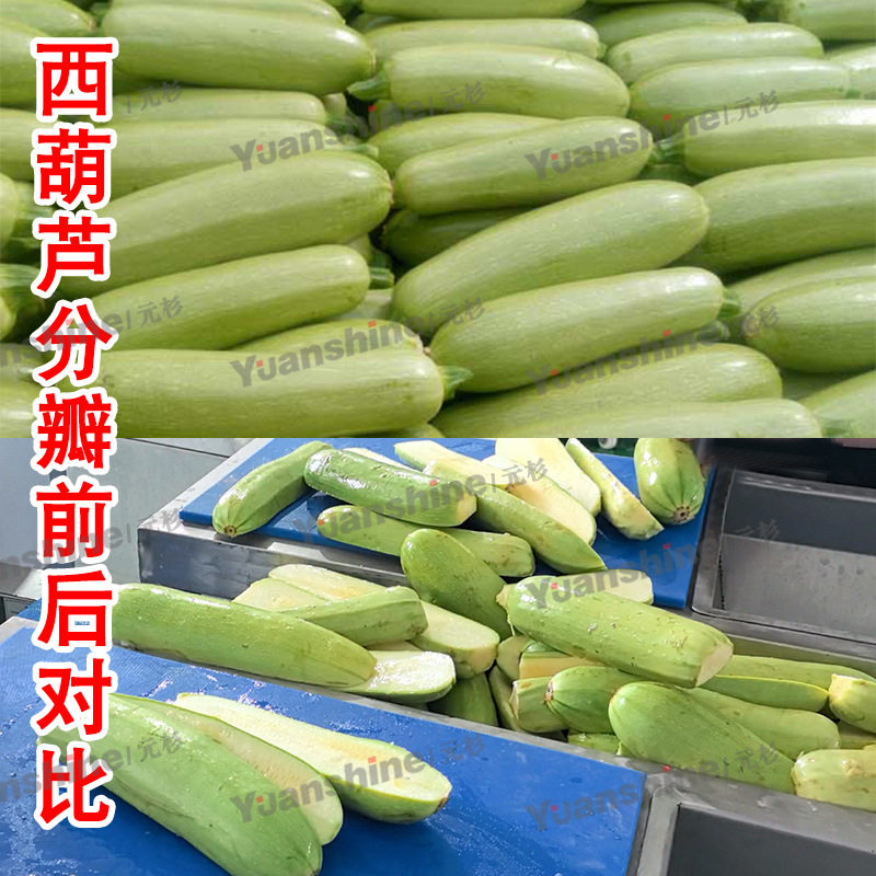 大型果蔬分两瓣设备 蘑菇西葫芦分瓣机 荔浦芋头冬瓜分半机