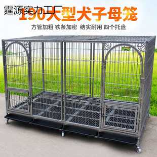 大型犬子母狗笼子 藏獒狗笼 120厘米 长190 加粗大型犬笼 宽100