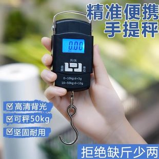 小型高精度称重手提秤手提电子秤钩家用 弹簧秤精准电子称器便携式