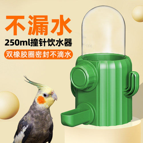 【250ML可喝15天】鹦鹉撞针水壶