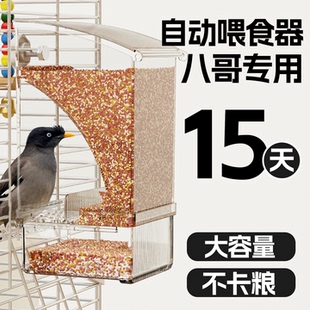 挂式 八哥喂食器鹦鹉食盒防溅小鸟用自动喂食器新款 下料器专用食碗