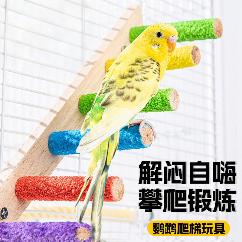 鹦鹉站架玩具解闷自嗨爬梯虎皮磨砂磨爪站杆鸟笼装饰配件用品大全,宠物/宠物食品及用品,鸟禽其他,淘宝优惠券,粉丝福利购,淘宝优惠卷