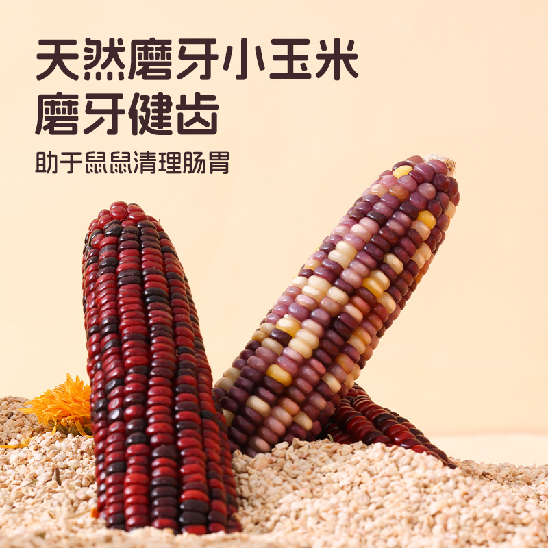 仓鼠磨牙小玉米棒花枝鼠金丝熊零食彩色可造景营养粮食玩具用品