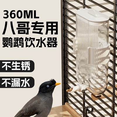 八哥专用鹦鹉喂水器撞针式水壶