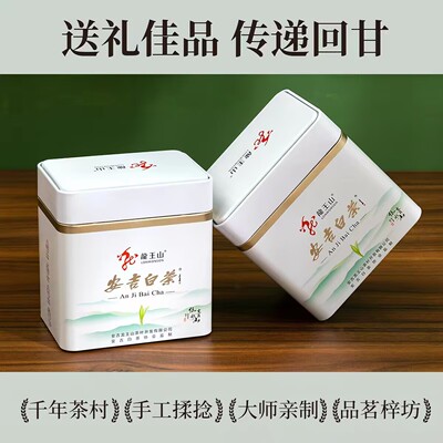 安吉龙王山梅兰菊雨前白茶