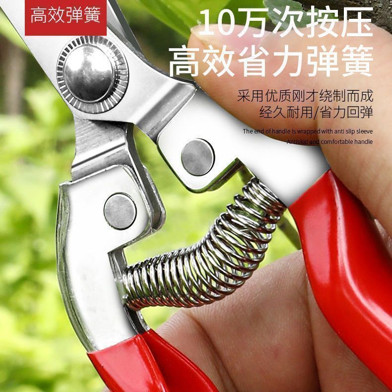 花椒葡萄蔬果采摘剪花艺修枝剪园林果木修剪工具多功能采果小剪刀