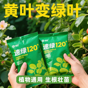 速绿120叶面肥叶绿素正品叶片厚蔬菜花卉果蔬通用型水溶肥料