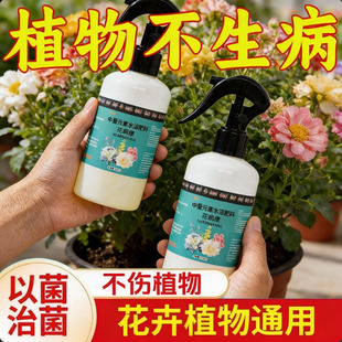 花病康植物花卉通用型花病康免稀释直喷型家庭园艺盆栽抗菌活性剂
