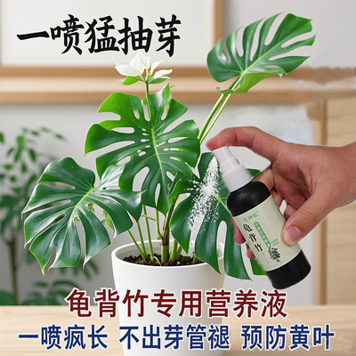 免稀释龟背竹专用营养液专用肥料
