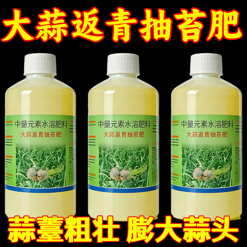 大蒜返青抽苔肥增产粗壮
