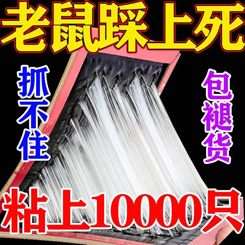 粘鼠板强力胶家用老鼠贴灭鼠捕鼠超强沾老鼠神器粘大老鼠板家庭用