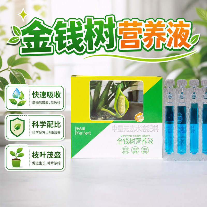 金钱树专用营养液促生根防黄叶