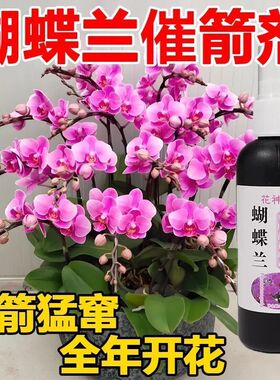 蝴蝶兰营养液爆箭促开花烂根黄叶防病害专用肥料免稀释