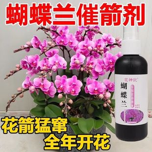 蝴蝶兰营养液爆箭促开花烂根黄叶防病害专用肥料免稀释