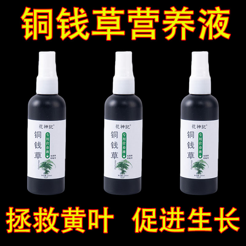 【一喷疯长】铜钱草营养液肥料专用肥水培促根芽去黄叶滥根液体肥