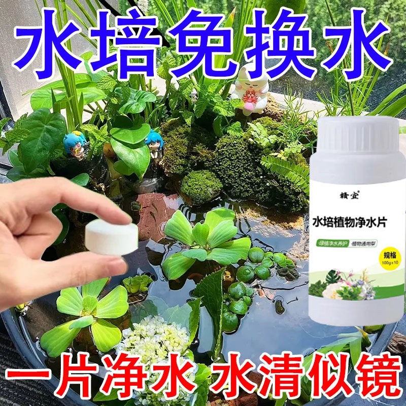 鲜花保鲜消毒片水培植物专用