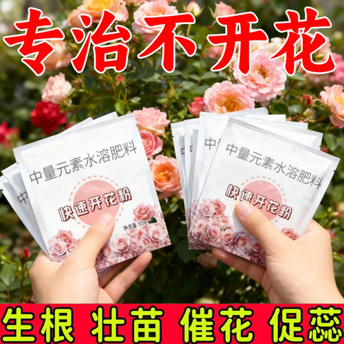 快速开花粉三角梅茉莉盆栽通用