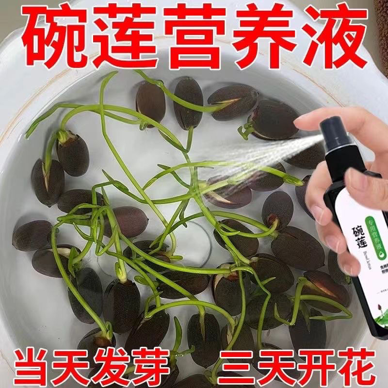 碗莲专用营养液睡莲肥料通用水溶肥水培种子发芽生根促开花防黄叶 鲜花速递/花卉仿真/绿植园艺 家庭园艺肥料 原图主图